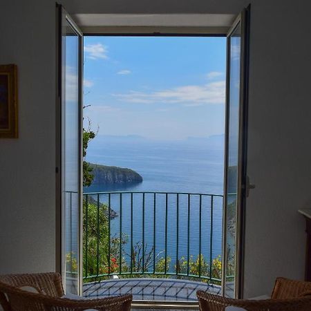 Il Giardino Selvatico Di Succellario - Apartments Barano dʼIschia Dış mekan fotoğraf