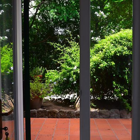 Il Giardino Selvatico Di Succellario - Apartments Barano dʼIschia Dış mekan fotoğraf