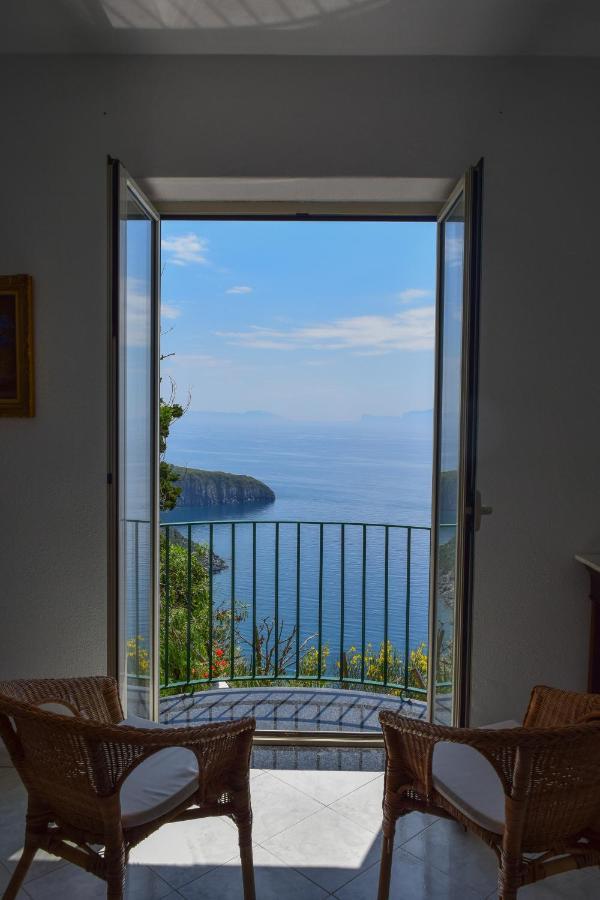 Il Giardino Selvatico Di Succellario - Apartments Barano dʼIschia Dış mekan fotoğraf