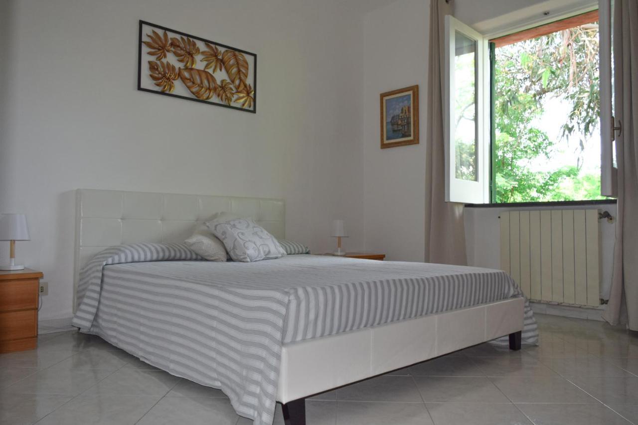 Il Giardino Selvatico Di Succellario - Apartments Barano dʼIschia Dış mekan fotoğraf