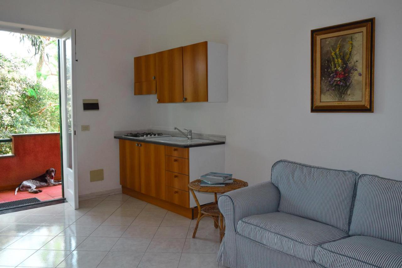 Il Giardino Selvatico Di Succellario - Apartments Barano dʼIschia Dış mekan fotoğraf