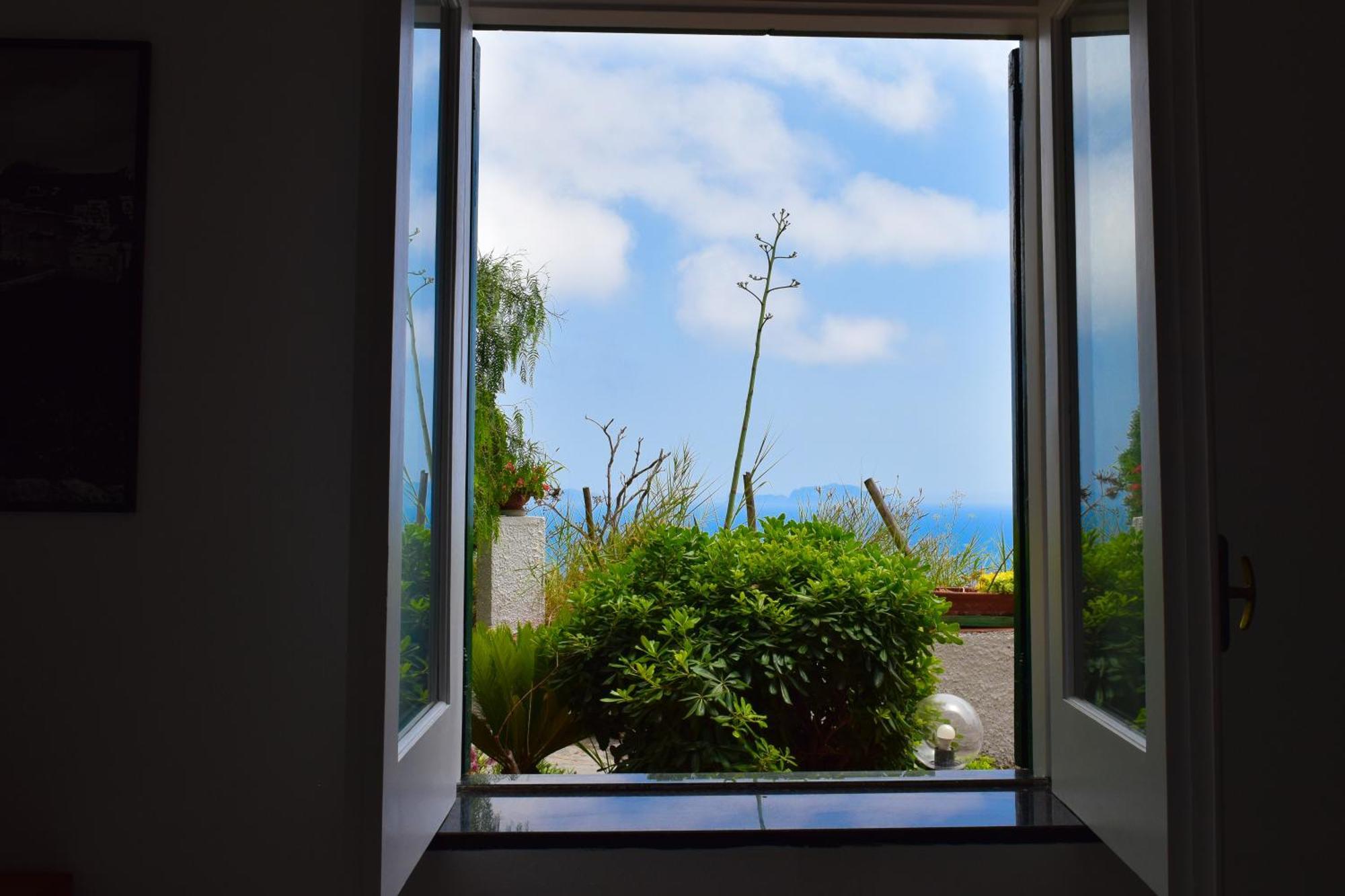 Il Giardino Selvatico Di Succellario - Apartments Barano dʼIschia Dış mekan fotoğraf